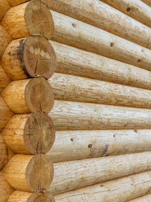 Bauen mit Holz