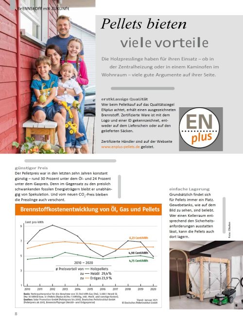 Hausbau Helden Alles über Holzpellets: Was sind die Vorteile?