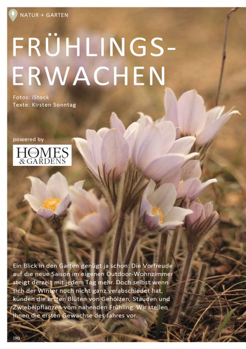 Hausbau Helden Das sind die schönsten Frühlingsblumen