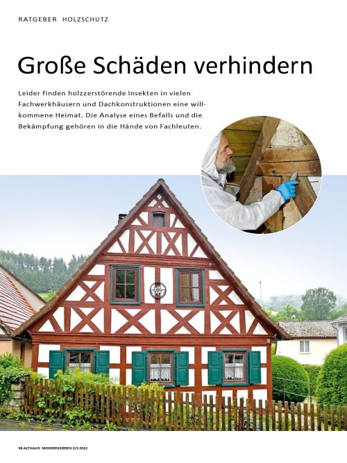 Hausbau Helden Holzschutz: Schäden durch Insekten vermeiden