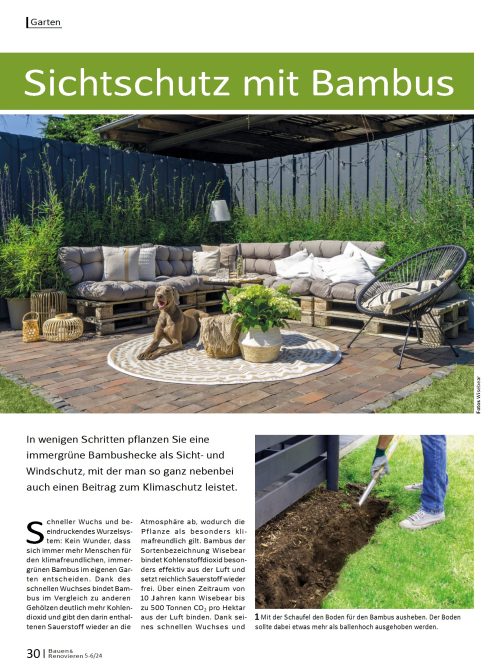 Hausbau Helden Sichtschutz mit Bambus