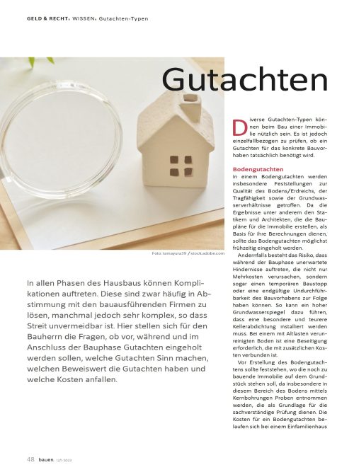 Hausbau Helden Was gibt es für Gutachten-Typen?