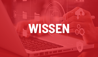 https://www.hausbauhelden.de/wp-content/uploads/2024/10/Wissen.png