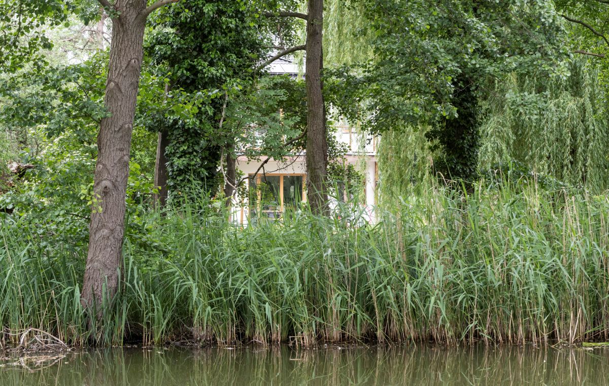 ytong Haus am See Natur und Blick aufs Haus