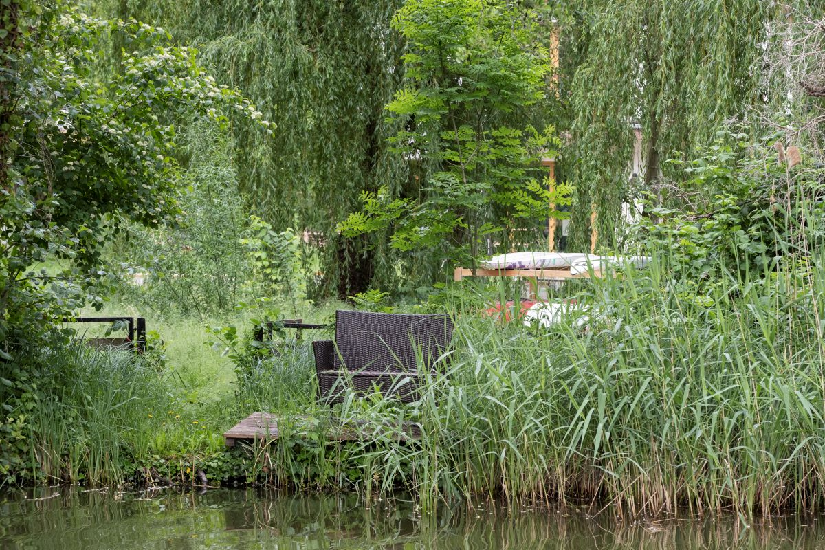 ytong Haus am See Natur