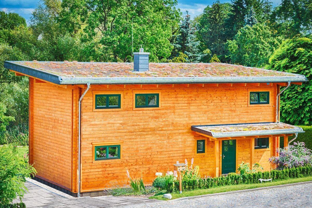 Blockhaus Alpina One Außenansicht Haus mit Pultdach und kleinen Fenstern