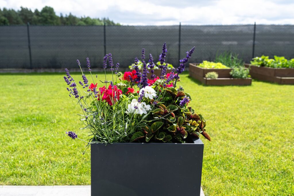 Pflanzenkübel im Garten