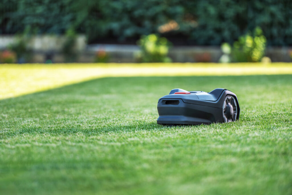 Mähroboter im Garten